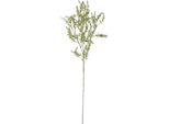 Hill Interiors - Fiore Artificiale HI4904 (Taglia Unica) (Verde)