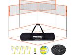 Rete Da Pallavolo A 4 Vie, Set Da Gioco Per Pallavolo Regolabile Con Borsa Portapalloni