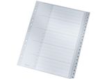Leitz 1284-00-00 1284 Indice Numerico - 1-20, Pp, A4 Extra-Large, 20 Fogli, Grigio