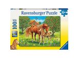 Ravensburger 105779 Ravensburger Xxl PferdeglüCk Auf Der Wiese Puzzle 100 Teile