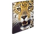 Herma Sammelmappe A4 Leopard Polypropylen
