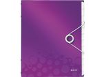 Leitz 4634-00-62 Organizzatore Wow Din A4 Pp 12 Scomparti Viola(T)