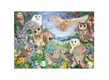 Falcon Puzzle Gufi Nella Foresta 1000 Pezzi