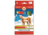 KOH-I-NOOR Matite Colorate Triangolari 3144 Triocolor 24 Pezzi