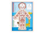 Puzzle ''Corpo Umano'' - Giovane De