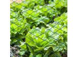 Yakimz Rete Protezione Uccelli Rete Stagno 2X5M Rete Albero Da Frutto Rete Giardino Rete Piscina Rete Repellente Uccelli, Rete Foglia Robusta 20X20Mm
