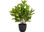 Epipremnum Aureum Pianta Artificiale Verde 40 Cm In Vaso Di Plastica 11,5X10,5 Cm Con Terriccio