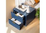Comodino Proximax Con 2 Cassetti, Comodino Tavolino Nordico Tavolino Da Caffè 40X35,5X50Cm