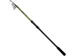 Delphin Partisan, 3M, 9.84Ft, 0-100G, 6 Pezzi, Canna Da Pesca Per Carpe, 101001350
