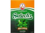 Selecta Menta Boldo Refresca El Doble 0,5Kg