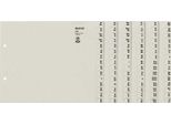 Leitz 1306-00-85 1306 Serie Registro - A-Z, Carta, A4 Extra-Large, Per 6 Cartelle, Grigio