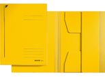 Leitz 3924-00-15 Cartella Legale - A4, Cartoncino Pendarec 430G, Giallo