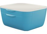 Leitz 5357-00-61 5357 Set Di Cassetti Cosy - 2 Cassetti, Polistirolo, Blu Opaco/Grigio Chiaro