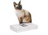 Scratch 2 In 1 | Tiragraffi Canadese Per Gatti | Edizione Bianca | Bianco