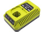 DF-RTP117UK Caricabatterie Compatibile Con [Paslode] BBL-120, BD-120, BD-121, BD-122, BD-123, BD-125, BD-126, BD-127, BFL-127, BID-122, BID-1225, Bid