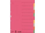 Leitz 4359-00-00 4359 Register - Karton, Blanko, A4, 10 Blatt, Farbig