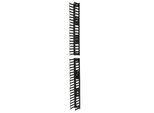 Apc AR7580A Apc Vertical Cable Manager For Netshelter Sx 750Mm Wide 42U
