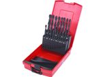 Ks Tools 330.1620 Punta Da Trapano Set Di Punte Da Trapano 19 Pz