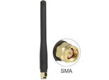 Delock Ism-Antenne Sma 2,5Dbi Starr