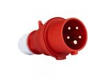 Bals Spina Cee 5P 16A IP44 400V/Rt 6H Terminale A Vite