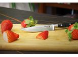 Fagor Couper Coltello Da Cucina Professionale Spelucchino 10 Cm, Lama In Acciaio Inox, Manico Ergonomico