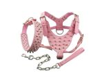 Collare E Imbracatura Dell'animale Domestico Con Rivetti, Imbracatura Del Collare Dell'animale Domestico Con Rivetti, Imbracatura Del Collare Dell'animale Domestico Con Borchie A Spillo
