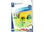 Staedtler 2430 C36 Staedtler Pastello Morbido Design Journey, Confezione Da 36 Pezzi