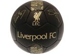 Liverpool Fc - Pallone Da Calcio "Phantom"" Con Firme TA8819 (5) (Nero/Oro)"