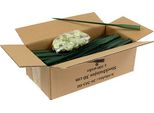 Tubi Per Composizioni Floreali Verde Scuro 30 Cm Per Decorazioni Floreali, Matrimoni, Set Di 100 Con Tappi In Gomma