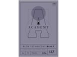 Blocco Tecnico A4 10 Fogli 240G Academy Interdruk