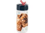Bidon Torte Spaniel Cleo In Frank 44 Derform