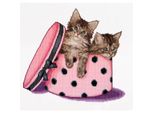 Thea Gouverneur Kit Punto Croce "Gattini Gemelli Aida"", 31X30Cm"