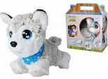 Ccl Cane Felice Husky Interattivo
