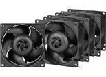 Arctic S8038-10K - Server-LüFter Da 80 Mm - 4 StüCk - Ventola - 8 Cm - 102 Cfm - 173,3 M³/H - Schwarz