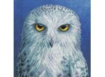 Confezione Da Ricamo A Punto Croce Bothy Threads "The Menagerie: Wisdom"", Schema Per Il Conteggio, XRF12, 26X26Cm"