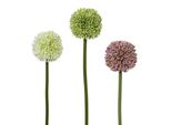 Kunstblume Creativ Green, Bunt, B:10Cm H:64Cm Ø:10Cm, Kunststoff, Kunstpflanzen