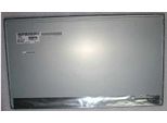 Coreparts MSC230F30-131M Display Di Ricambio Per Notebook (MSC230F30-131M)