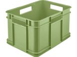Keeeper 1546131900000 Keeeper Storage Box Euro-Box M "Bruno Eco"", Verde Erba"