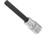 Punta Per Cacciavite ∙ V2076 ∙ Cava Quadrata Da 1/2 Pollice (12,5 Mm) ∙ Profilo Esagonale Interno ∙ Sw 10 Mm