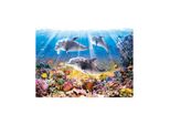 Castorland Puzzle Delfini 500 Pezzi