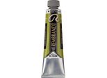 Rembrandt Colore A Olio In Tubetto 40 Ml Verde Vermiglio Chiaro 626