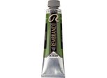 Rembrandt Colore A Olio In Tubetto 40 Ml Verde Succo 623