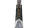 Rembrandt Colore A Olio In Tubetto 40 Ml Terra Verde 629
