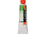 Cobra Study Olio Miscibile In Tubetto 40 Ml Verde Permanente 618