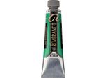 Rembrandt Colore A Olio In Tubetto 40 Ml Paul Verone Verde 615
