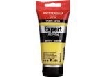 Amsterdam Serie Expert Tubo Di Vernice Acrilica 75 Ml Giallo Limone Permanente 254