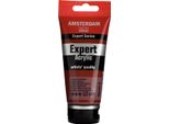 Amsterdam Serie Expert Vernice Acrilica In Tubetto 75 Ml Siena Bruciata 411