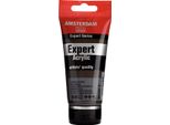 Amsterdam Serie Expert Tubo Di Vernice Acrilica 75 Ml Umbra Nature 408