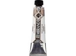 Rembrandt Colore Acrilico In Tubetto 40 Ml Viola Perlato 821