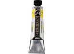 Tubo Di Colore Acrilico Rembrandt 40 Ml Giallo Cadmio Limone 207